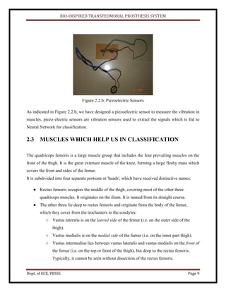 BIO-INSPIRED TRANSFEOMORAL PROSTHESIS SYSTEM
Dept. of ECE, PESSE Page 9
Figure 2.2.b: Piezoelectric Sensors
As indicated in Figure 2.2.b, we have designed a piezoelectric sensor to measure the vibration in
muscles, piezo electric sensors are vibration sensors used to extract the signals which is fed to
Neural Network for classification.
2.3 MUSCLES WHICH HELP US IN CLASSIFICATION
The quadriceps femoris is a large muscle group that includes the four prevailing muscles on the
front of the thigh. It is the great extensor muscle of the knee, forming a large fleshy mass which
covers the front and sides of the femur.
It is subdivided into four separate portions or 'heads', which have received distinctive names:
● Rectus femoris occupies the middle of the thigh, covering most of the other three
quadriceps muscles. It originates on the ilium. It is named from its straight course.
● The other three lie deep to rectus femoris and originate from the body of the femur,
which they cover from the trochanters to the condyles:
○ Vastus lateralis is on the lateral side of the femur (i.e. on the outer side of the
thigh).
○ Vastus medialis is on the medial side of the femur (i.e. on the inner part thigh).
○ Vastus intermedius lies between vastus lateralis and vastus medialis on the front of
the femur (i.e. on the top or front of the thigh), but deep to the rectus femoris.
Typically, it cannot be seen without dissection of the rectus femoris.
 