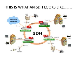 THIS IS WHAT AN SDH LOOKS LIKE……..
 