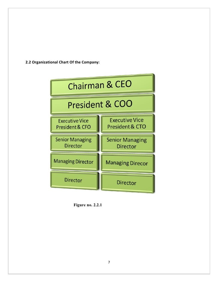 Canon Organizational Chart