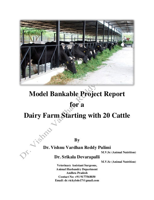 case study on dairy project