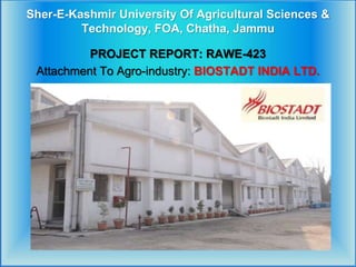 Sher-E-Kashmir University Of Agricultural Sciences &
Technology, FOA, Chatha, Jammu
PROJECT REPORT: RAWE-423
Attachment To Agro-industry: BIOSTADT INDIA LTD.
 