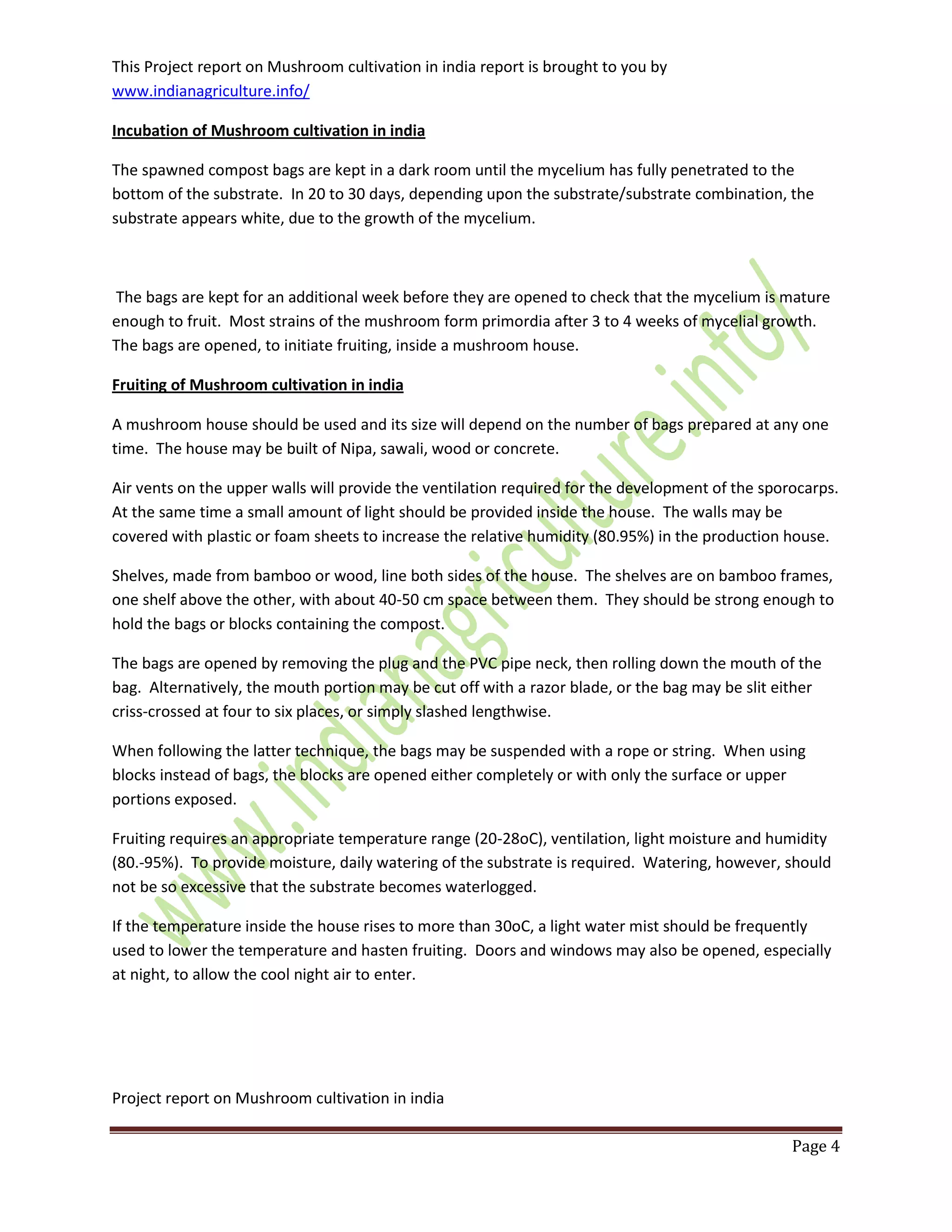 This Project report on Mushroom cultivation in india report is brought to you by
www.indianagriculture.info/
Project report on Mushroom cultivation in india
Page 4
Incubation of Mushroom cultivation in india
The spawned compost bags are kept in a dark room until the mycelium has fully penetrated to the
bottom of the substrate. In 20 to 30 days, depending upon the substrate/substrate combination, the
substrate appears white, due to the growth of the mycelium.
The bags are kept for an additional week before they are opened to check that the mycelium is mature
enough to fruit. Most strains of the mushroom form primordia after 3 to 4 weeks of mycelial growth.
The bags are opened, to initiate fruiting, inside a mushroom house.
Fruiting of Mushroom cultivation in india
A mushroom house should be used and its size will depend on the number of bags prepared at any one
time. The house may be built of Nipa, sawali, wood or concrete.
Air vents on the upper walls will provide the ventilation required for the development of the sporocarps.
At the same time a small amount of light should be provided inside the house. The walls may be
covered with plastic or foam sheets to increase the relative humidity (80.95%) in the production house.
Shelves, made from bamboo or wood, line both sides of the house. The shelves are on bamboo frames,
one shelf above the other, with about 40-50 cm space between them. They should be strong enough to
hold the bags or blocks containing the compost.
The bags are opened by removing the plug and the PVC pipe neck, then rolling down the mouth of the
bag. Alternatively, the mouth portion may be cut off with a razor blade, or the bag may be slit either
criss-crossed at four to six places, or simply slashed lengthwise.
When following the latter technique, the bags may be suspended with a rope or string. When using
blocks instead of bags, the blocks are opened either completely or with only the surface or upper
portions exposed.
Fruiting requires an appropriate temperature range (20-28oC), ventilation, light moisture and humidity
(80.-95%). To provide moisture, daily watering of the substrate is required. Watering, however, should
not be so excessive that the substrate becomes waterlogged.
If the temperature inside the house rises to more than 30oC, a light water mist should be frequently
used to lower the temperature and hasten fruiting. Doors and windows may also be opened, especially
at night, to allow the cool night air to enter.
 