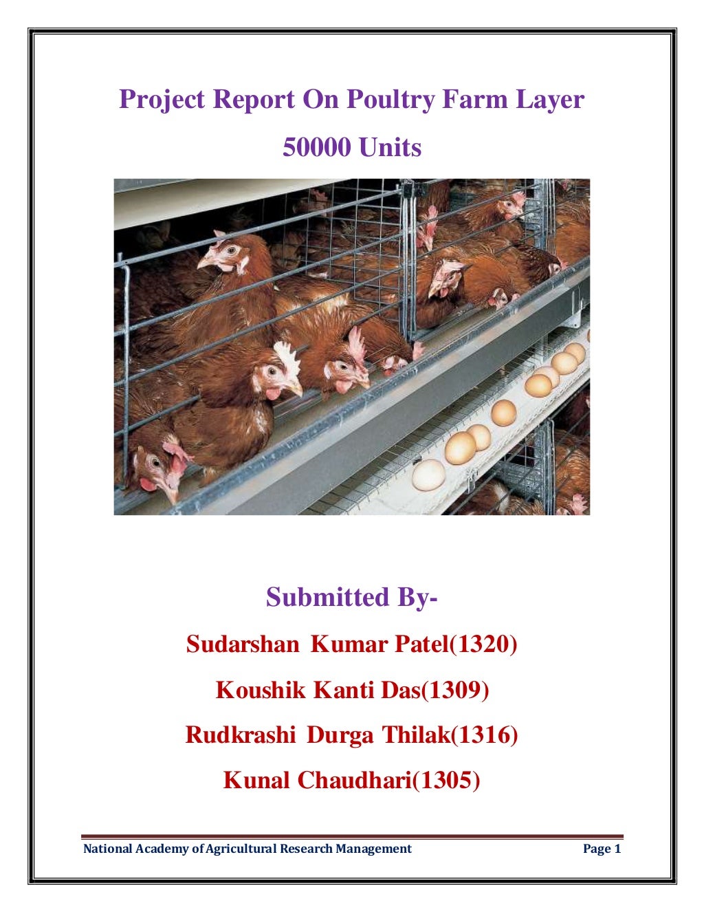 project-report-on-poultry-farm-layer
