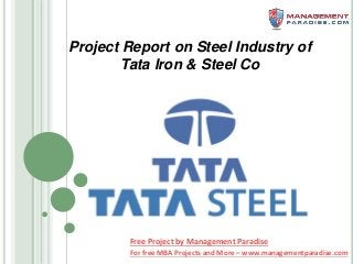For free MBA Projects and More – www.managementparadise.com
Project Report on Steel Industry of
Tata Iron & Steel Co
Free Project by Management Paradise
 