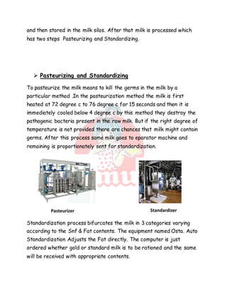 Amul Project report pppp | DOCX
