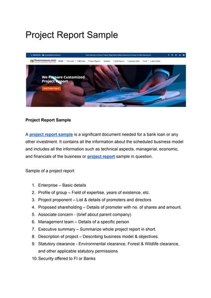 Project Report Sample | PDF