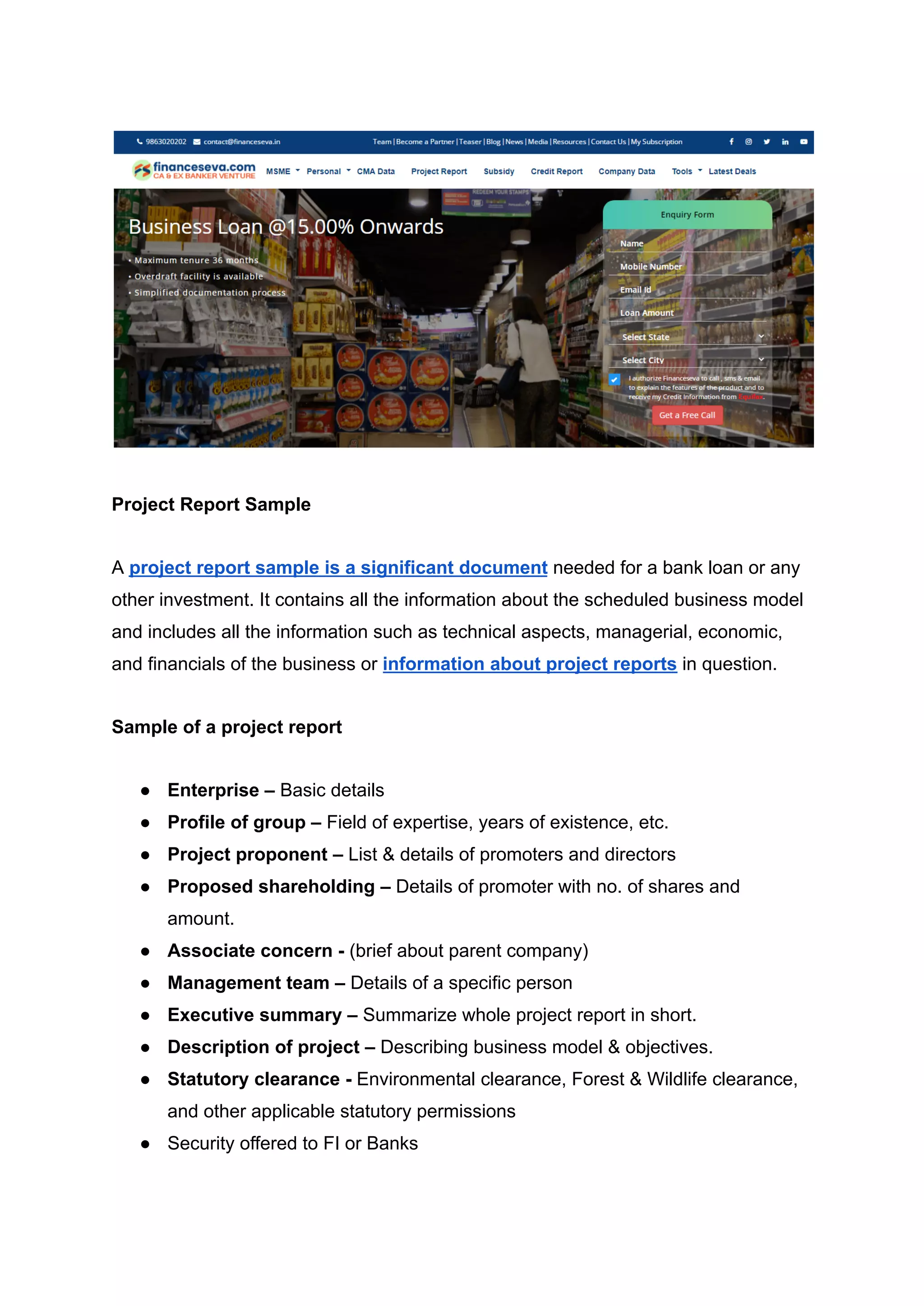 Project Report Sample | PDF