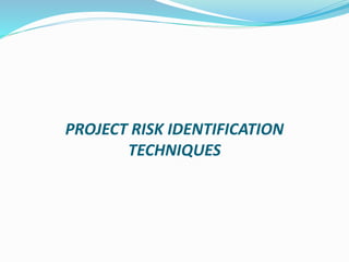 PROJECT RISK IDENTIFICATION
TECHNIQUES
 