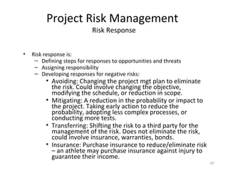 Project risk management | PPT