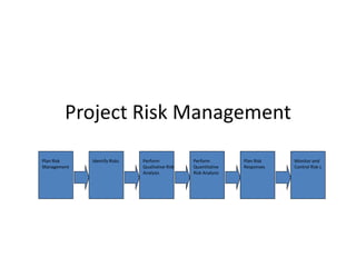 Project risk management | PPTX