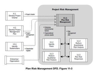 Plan Risk Management DFD. Figure 11-3
 