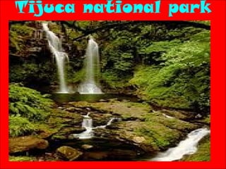 Tijuca national park
 