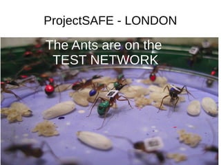 ProjectSAFE - LONDON
The Ants are on the
TEST NETWORK
 