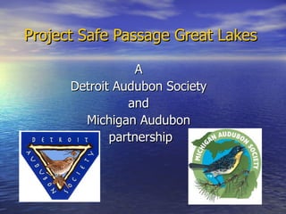 Project Safe Passage Great Lakes A  Detroit Audubon Society  and  Michigan Audubon  partnership 