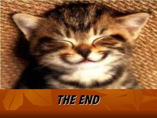 THE END 