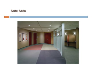Ante Area
 