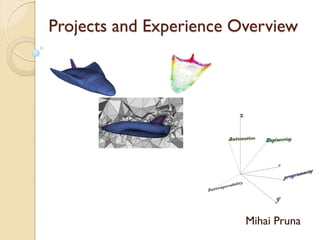 Projects and Experience Overview

Mihai Pruna

 