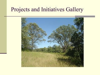 Projects and Initiatives Gallery 