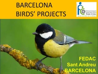 BARCELONA
BIRDS’ PROJECTS




                    FEDAC
               Sant Andreu
              BARCELONA
 