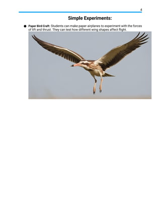 PROJECT SCIENCE FAIR How do birds can fly?..docx