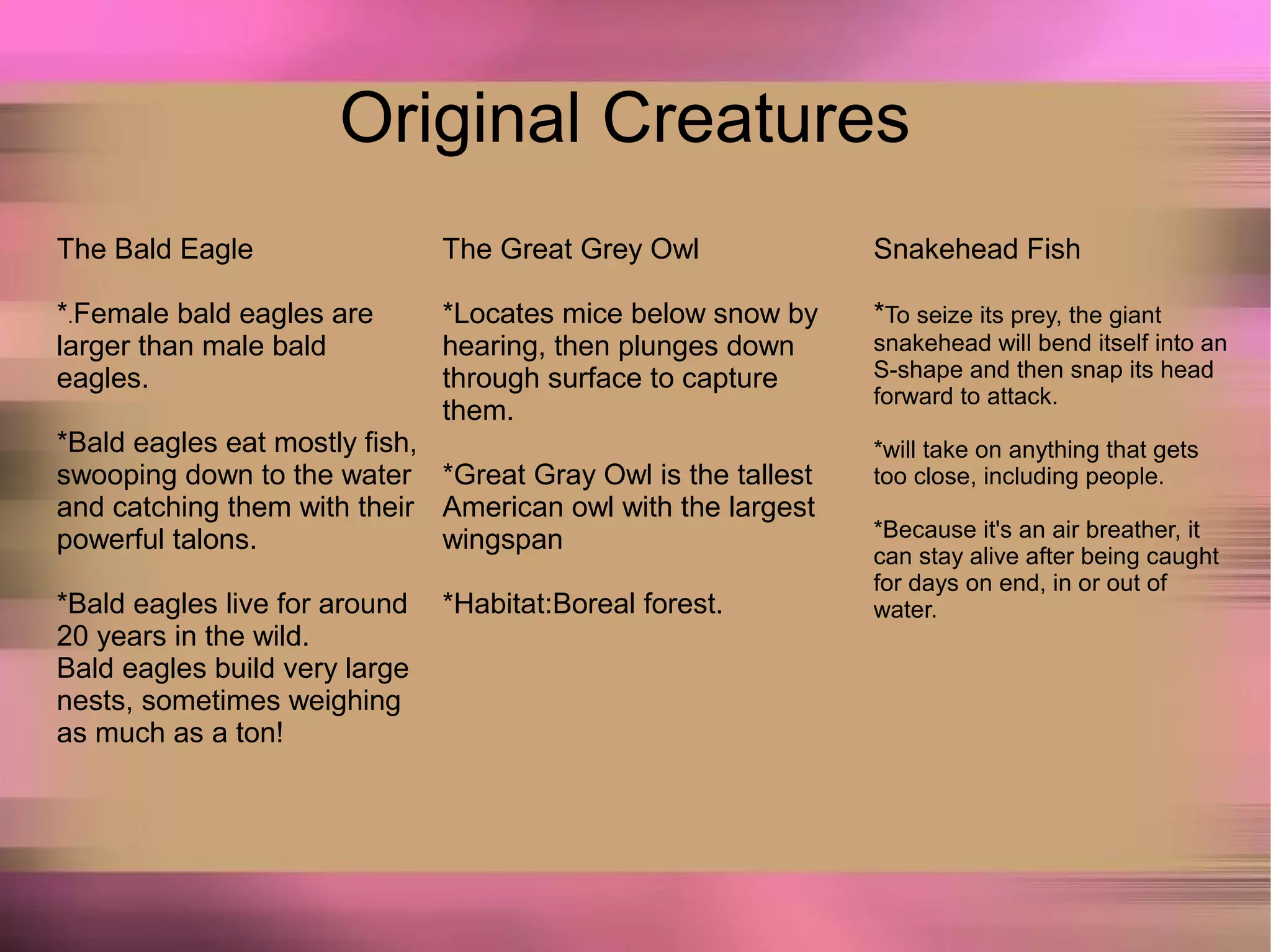 Original Creatures
The Bald Eagle
*.Female bald eagles are
larger than male bald
eagles.
*Bald eagles eat mostly fish,
swooping down to the water
and catching them with their
powerful talons.
*Bald eagles live for around
20 years in the wild.
Bald eagles build very large
nests, sometimes weighing
as much as a ton!
The Great Grey Owl
*Locates mice below snow by
hearing, then plunges down
through surface to capture
them.
*Great Gray Owl is the tallest
American owl with the largest
wingspan
*Habitat:Boreal forest.
Snakehead Fish
*To seize its prey, the giant
snakehead will bend itself into an
S-shape and then snap its head
forward to attack.
*will take on anything that gets
too close, including people.
*Because it's an air breather, it
can stay alive after being caught
for days on end, in or out of
water.
 