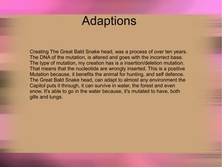 Adaptions
Creating The Great Bald Snake head, was a process of over ten years.
The DNA of the mutation, is altered and goes with the incorrect base.
The type of mutation, my creation has is a insertion/deletion mutation.
That means that the nucleotide are wrongly inserted. This is a positive
Mutation because, it benefits the animal for hunting, and self defence.
The Great Bald Snake head, can adapt to almost any environment the
Capitol puts it through, it can survive in water, the forest and even
snow. It's able to go in the water because, it's mutated to have, both
gills and lungs.
 