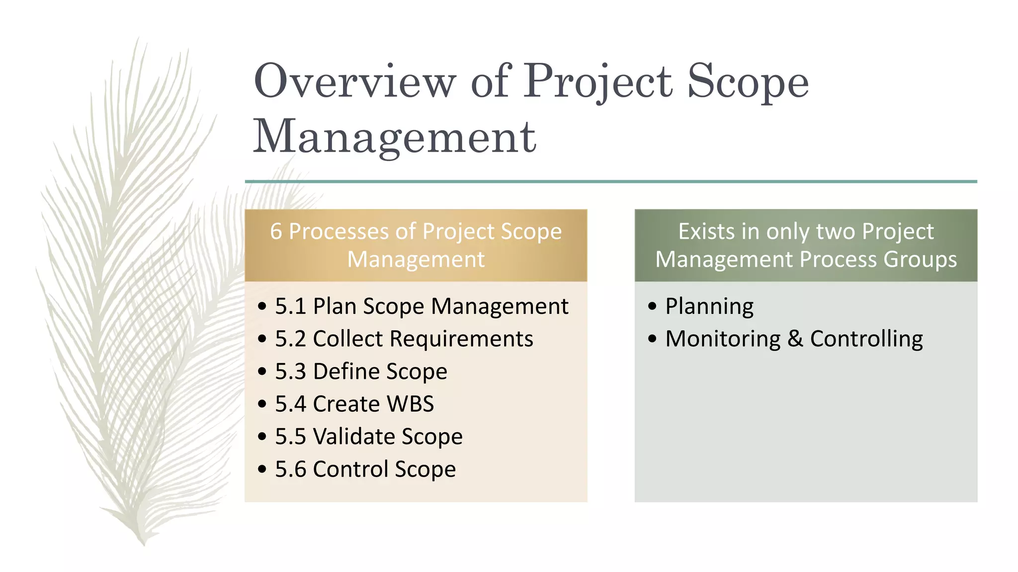 Overview of Project Scope
Management
6 Processes of Project Scope
Management
• 5.1 Plan Scope Management
• 5.2 Collect Requirements
• 5.3 Define Scope
• 5.4 Create WBS
• 5.5 Validate Scope
• 5.6 Control Scope
Exists in only two Project
Management Process Groups
• Planning
• Monitoring & Controlling
 