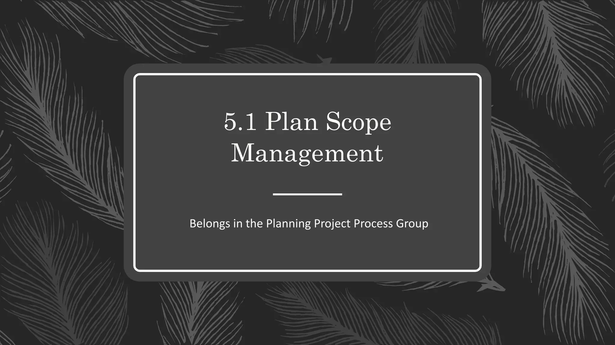 5.1 Plan Scope
Management
Belongs in the Planning Project Process Group
 
