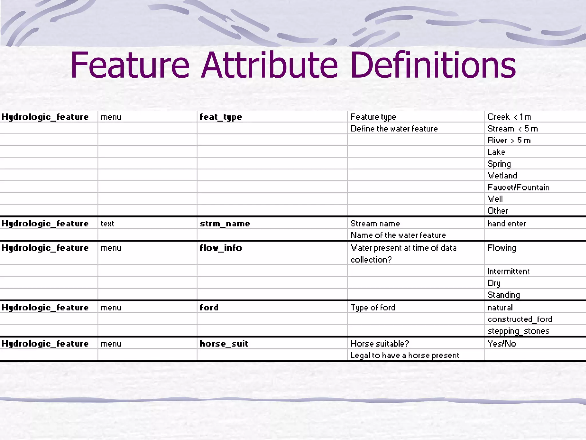 Feature Attribute Definitions 