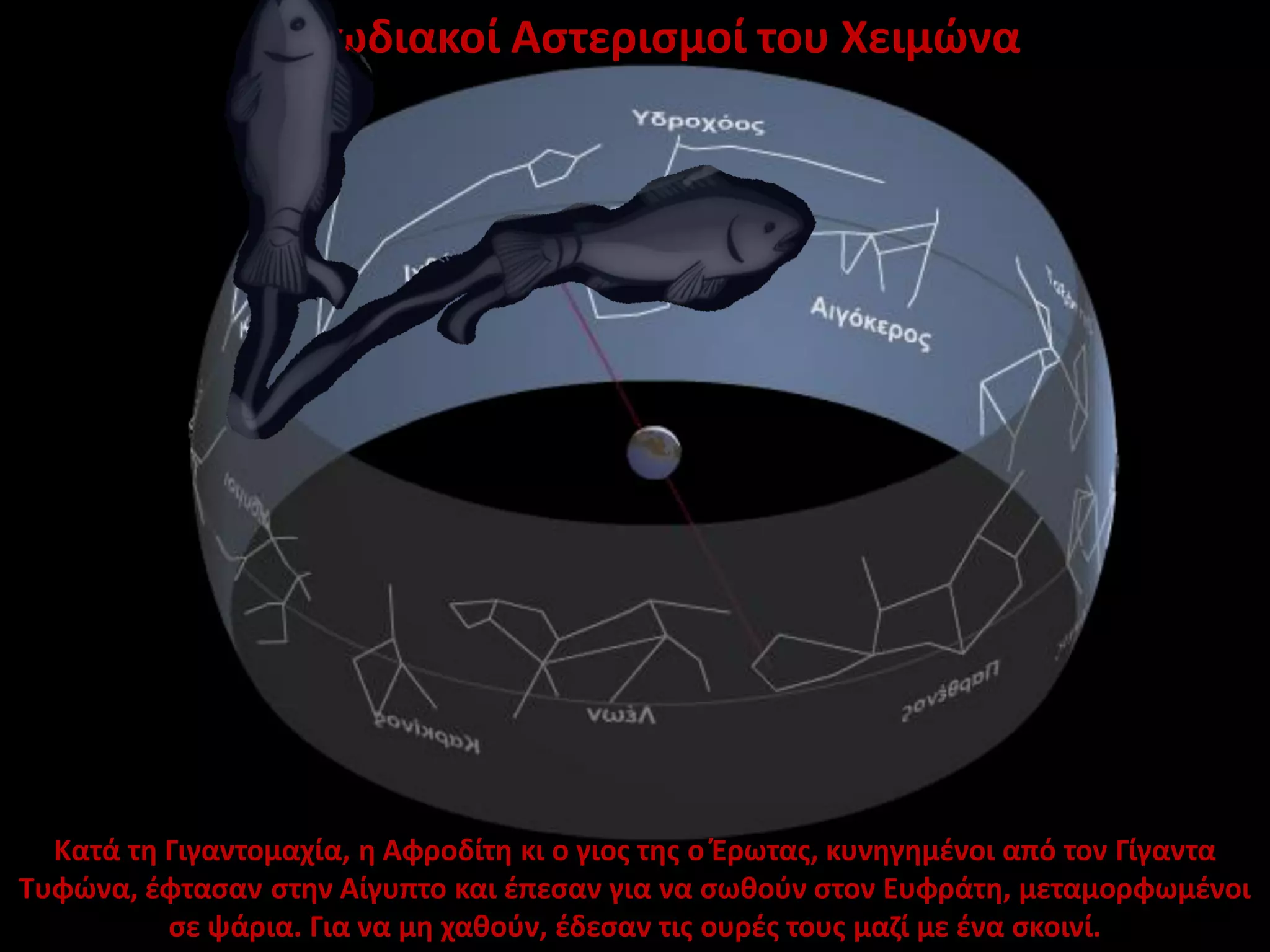 Οι Ζωδιακοί Αστερισμοί του Χειμώνα

Κατά τη Γιγαντομαχία, η Αφροδίτη κι ο γιος της ο Έρωτας, κυνηγημένοι από τον Γίγαντα
Τυφώνα, έφτασαν στην Αίγυπτο και έπεσαν για να σωθούν στον Ευφράτη, μεταμορφωμένοι
σε ψάρια. Για να μη χαθούν, έδεσαν τις ουρές τους μαζί με ένα σκοινί.

 