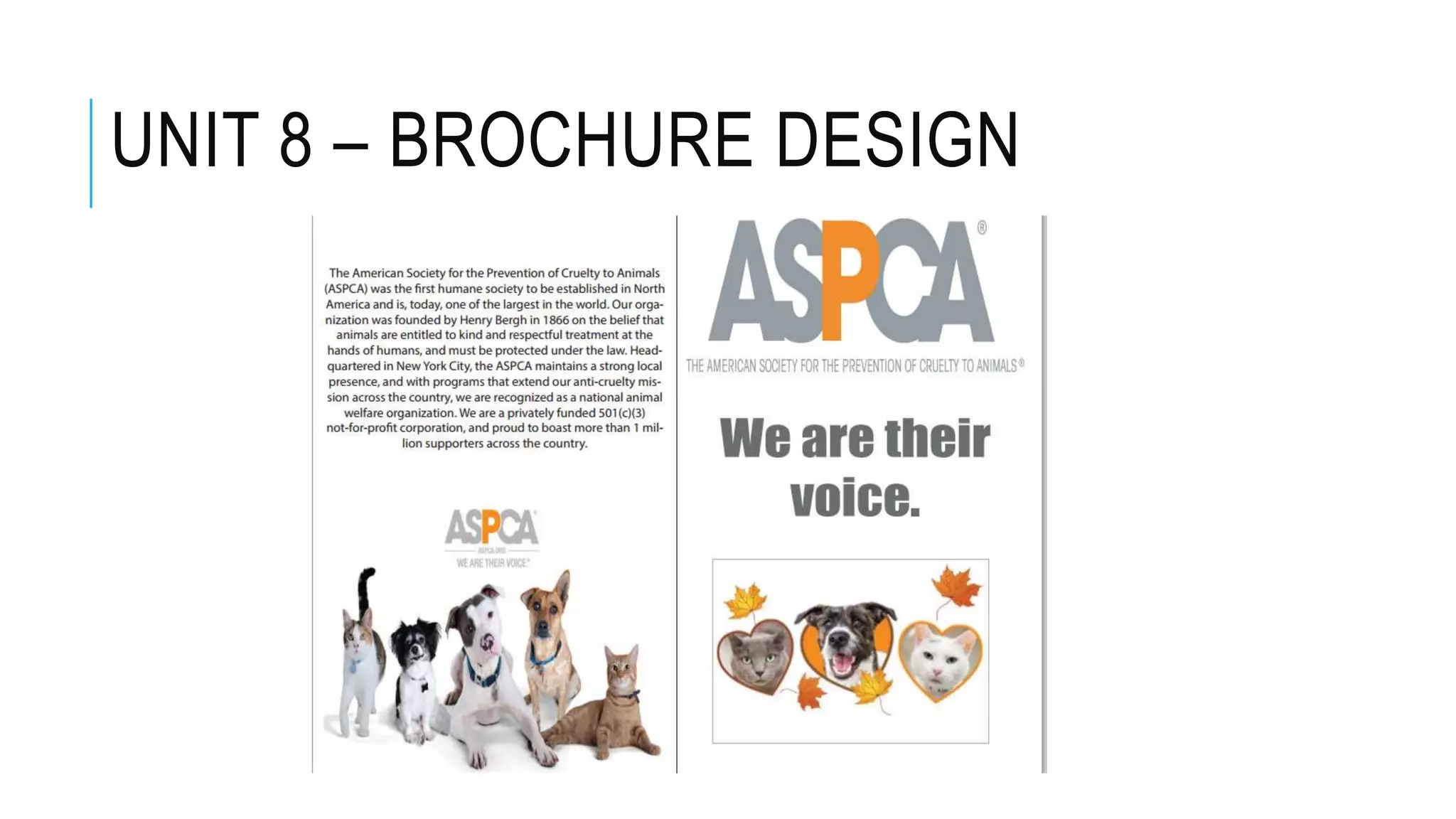 UNIT 8 – BROCHURE DESIGN