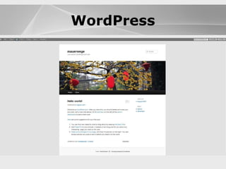 WordPress 