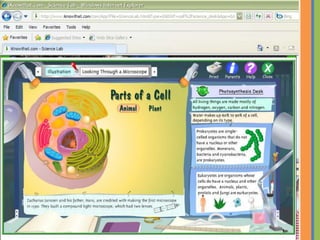 Computer Lab Projects