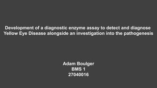 Development of a diagnostic enzyme assay to detect and diagnose
Yellow Eye Disease alongside an investigation into the pathogenesis
Adam Boulger
BMS 1
27040016
 