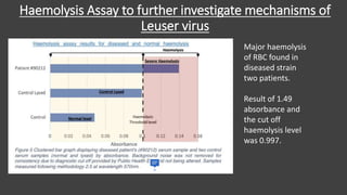 Haemolysis Assay to further investigate mechanisms of
Leuser virus
Major haemolysis
of RBC found in
diseased strain
two patients.
Result of 1.49
absorbance and
the cut off
haemolysis level
was 0.997.
 