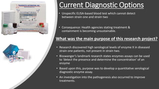 Current Diagnostic Options
• Unspecific ELISA-based blood test which cannot detect
between strain one and strain two
• Consequence: Health agencies stating treatment &
containment is becoming unsustainable.
• Research discovered high serological levels of enzyme X in diseased
strain one patients, not present in strain two.
• Bisswanger’s landmark research states enzymes assays can be used
to ‘detect the presence and determine the concentration’ of an
enzyme
• Based upon this, purpose was to develop a quantitative serological
diagnostic enzyme assay.
• An investigation into the pathogenesis also occurred to improve
treatments.
What was the main purpose of this research project?
 
