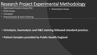 Research Project Experimental Methodology
• Urinalysis, haemolysis and H&E staining followed standard practice.
• Patient Samples provided by Public Health England
• Optimised Enzyme Assay (EA)
• ELISA Assay
• Urinalysis
• Haemotoxylin & Eosin Staining
• Haemolysis Assay
 