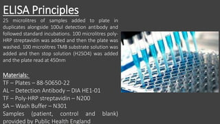 ELISA Principles
25 microlitres of samples added to plate in
duplicates alongside 100ul detection antibody and
followed standard incubations. 100 microlitres poly-
HRP streptavidin was added and then the plate was
washed. 100 microlitres TMB substrate solution was
added and then stop solution (H2SO4) was added
and the plate read at 450nm
Materials:
TF – Plates – 88-50650-22
AL – Detection Antibody – DIA HE1-01
TF – Poly-HRP streptavidin – N200
SA – Wash Buffer – N301
Samples (patient, control and blank)
provided by Public Health England
 