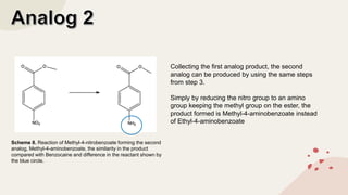 Collecting the first analog product, the second
analog can be produced by using the same steps
from step 3.
Simply by reducing the nitro group to an amino
group keeping the methyl group on the ester, the
product formed is Methyl-4-aminobenzoate instead
of Ethyl-4-aminobenzoate
Scheme 8. Reaction of Methyl-4-nitrobenzoate forming the second
analog, Methyl-4-aminobenzoate, the similarity in the product
compared with Benzocaine and difference in the reactant shown by
the blue circle.
 