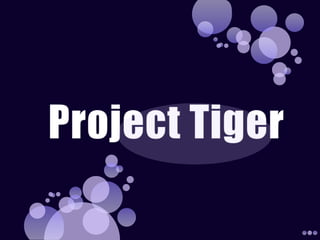 Project tiger