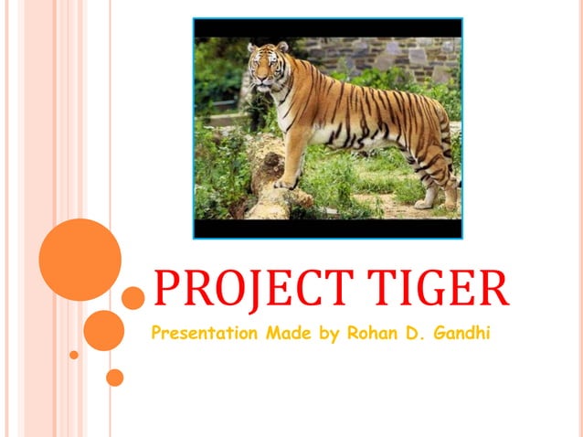 Project tiger | PPTX