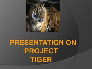 PRESENTATION ON
PROJECT
TIGER
 