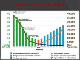 Tiger Project Statistics Project Tiger | PPTX