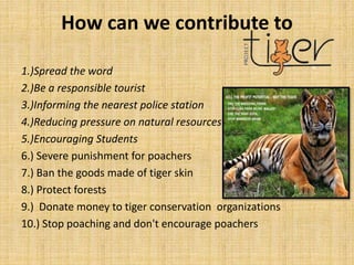 Project tiger | PPTX