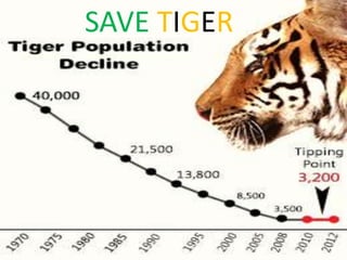 Tiger Project Statistics Project tiger | PPTX