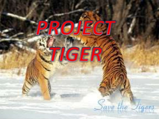 project tigers project tigers
