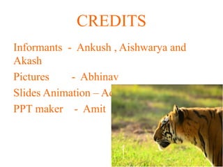 CREDITS
Informants - Ankush , Aishwarya and
Akash
Pictures - Abhinav
Slides Animation – Adnan and Aqib
PPT maker - Amit
 