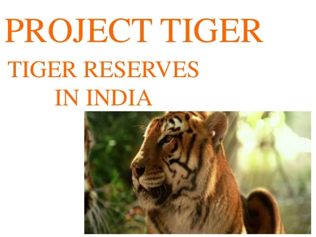 Project tiger pdf image