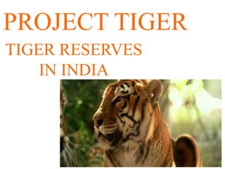 PROJECT TIGER
TIGER RESERVES
IN INDIA
 