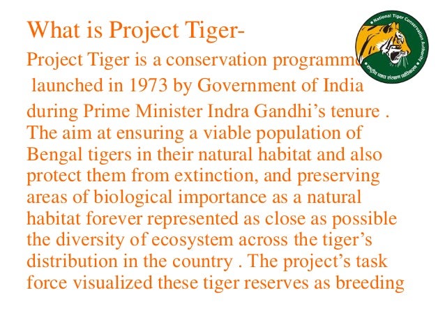project tiger case study ppt